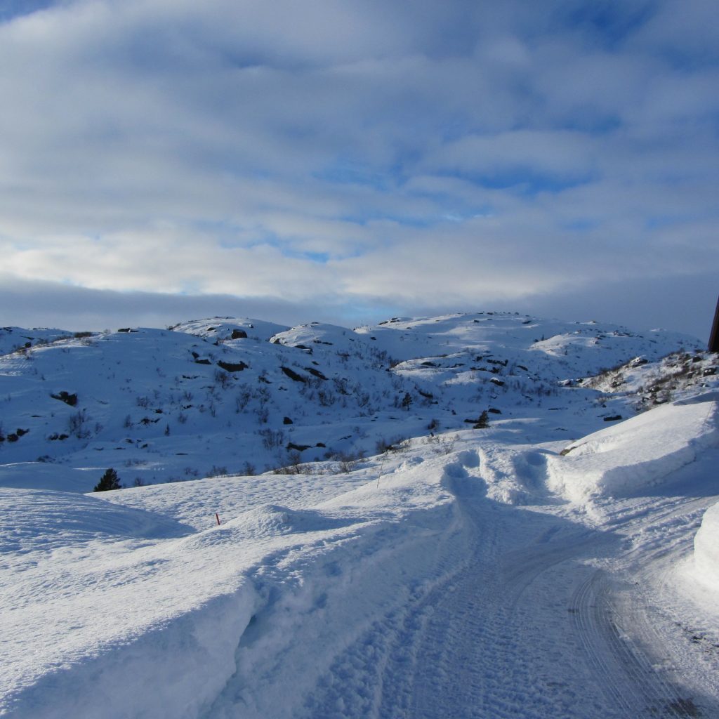 Snø Så Langt øyet Kan Se!
